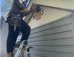 Best Historical Building Siding Restoration  in Brentwood, CA